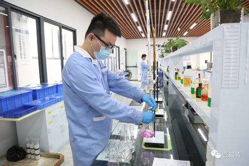 全球最大！彩橙科技，为何落子福建福清？